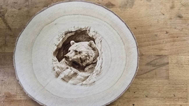 Ours sur rondelle de bois